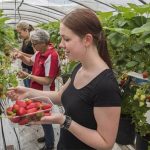Fruit Jobs B.V.